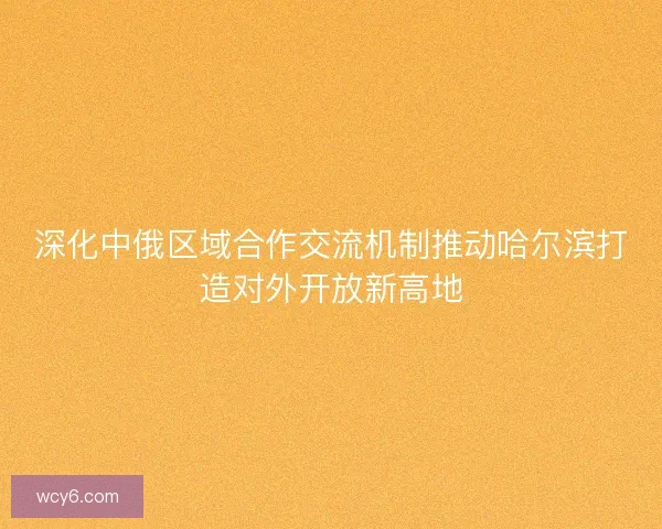 深化中俄区域合作交流机制推动哈尔滨打造对外开放新高地